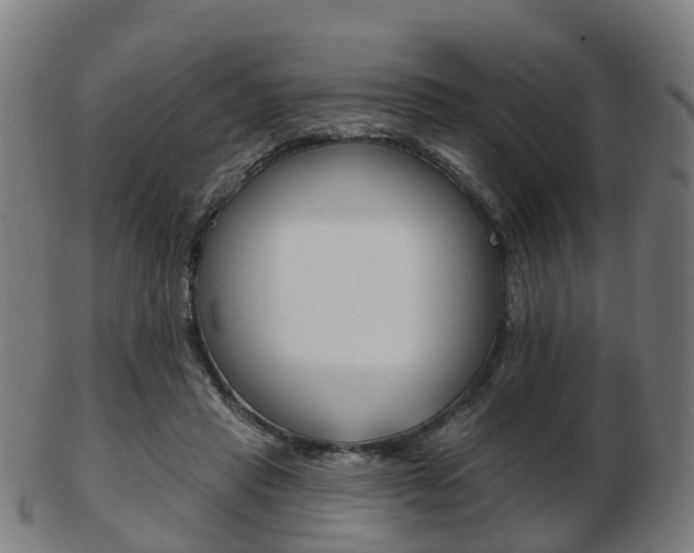 X0000103490453200809120954