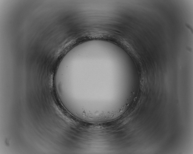 X0000103490454200809120954