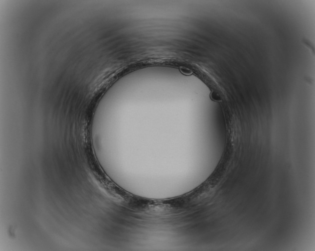 X0000103490455200809120954