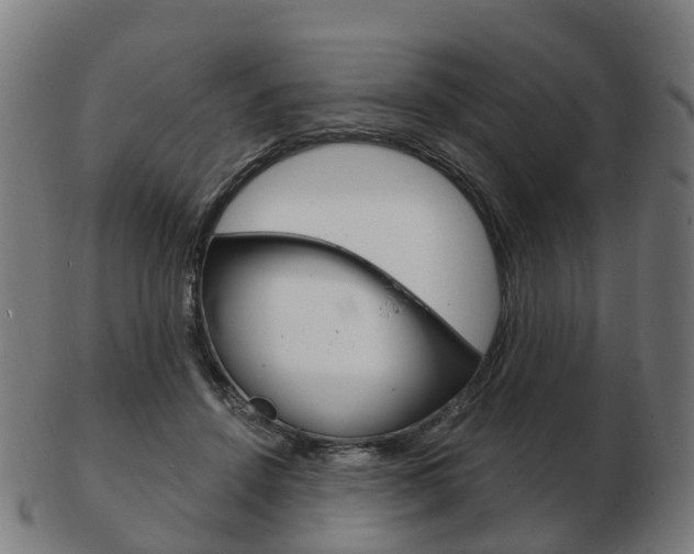 X0000103490456200809120954