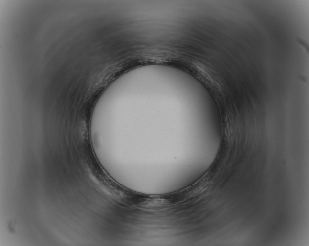 X0000103490459200809120954