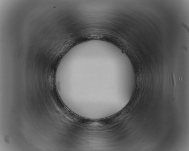 X0000103490460200809120954
