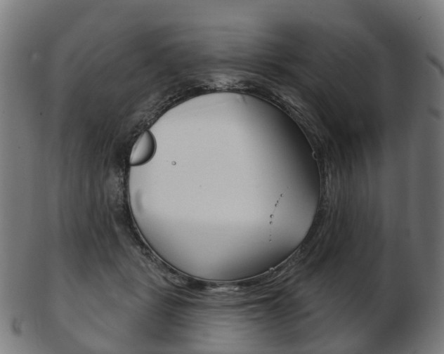 X0000103490461200809120954