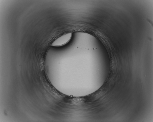 X0000103490465200809120954