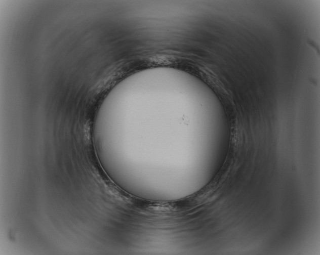 X0000103490466200809120954