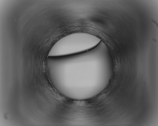 X0000103490469200809120954