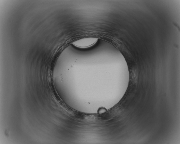 X0000103490470200809120954