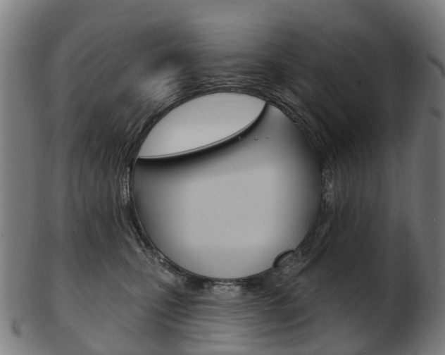 X0000103490471200809120954