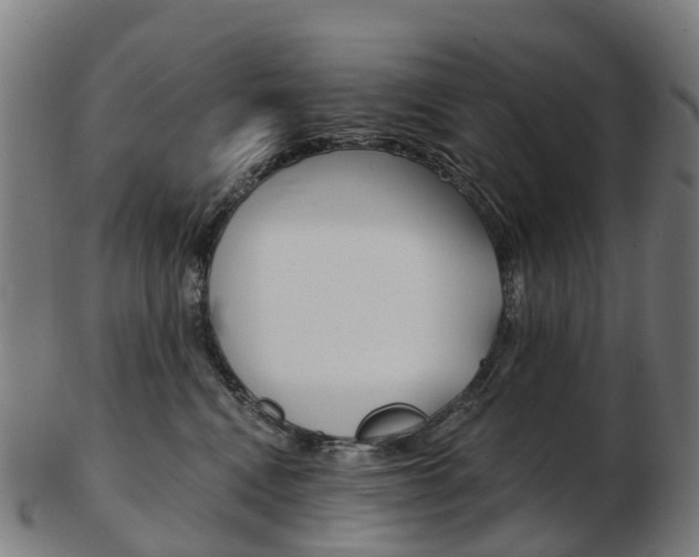 X0000103490472200809120954