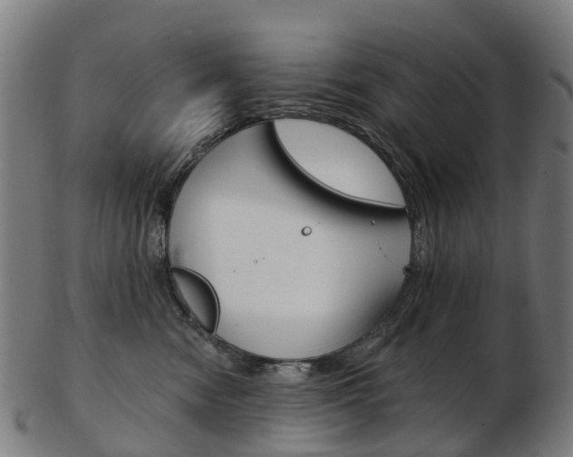 X0000103490474200809120954