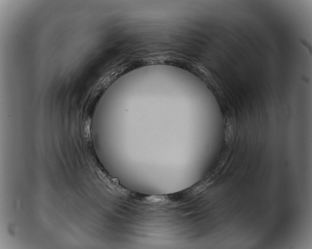 X0000103490477200809120954