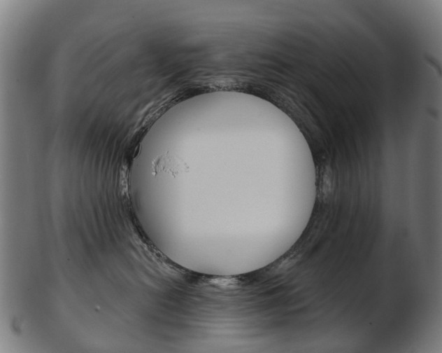 X0000103490478200809120954