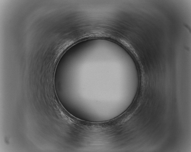 X0000103490481200809120953