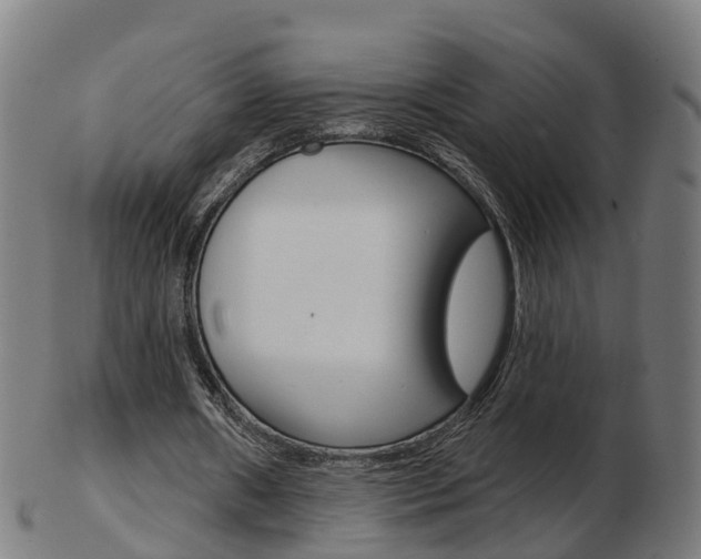 X0000103490482200809120953