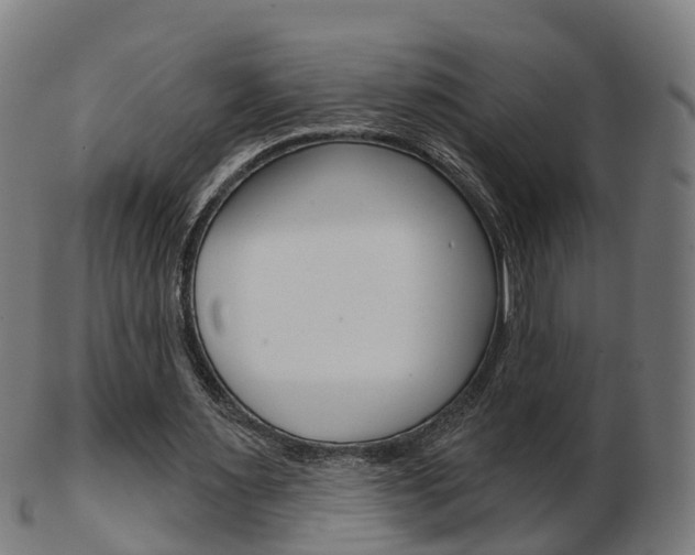 X0000103490483200809120953
