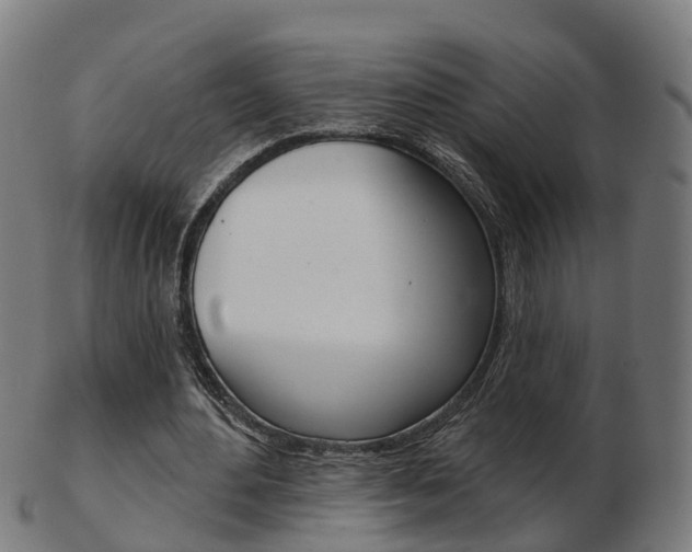 X0000103490484200809120953