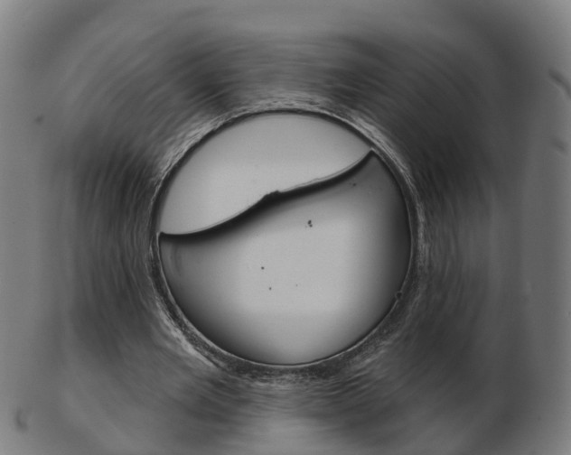 X0000103490485200809120953