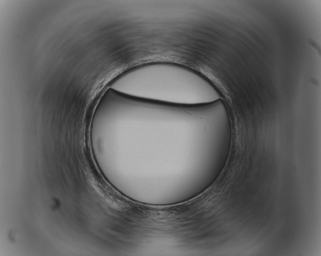 X0000103490486200809120953