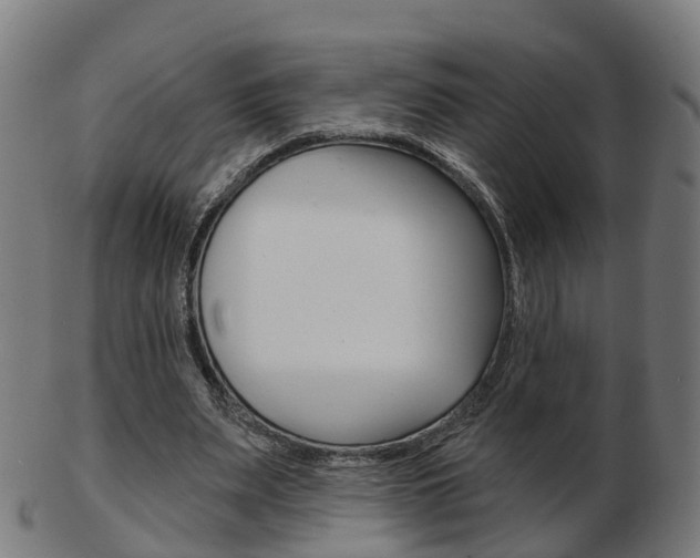 X0000103490487200809120953