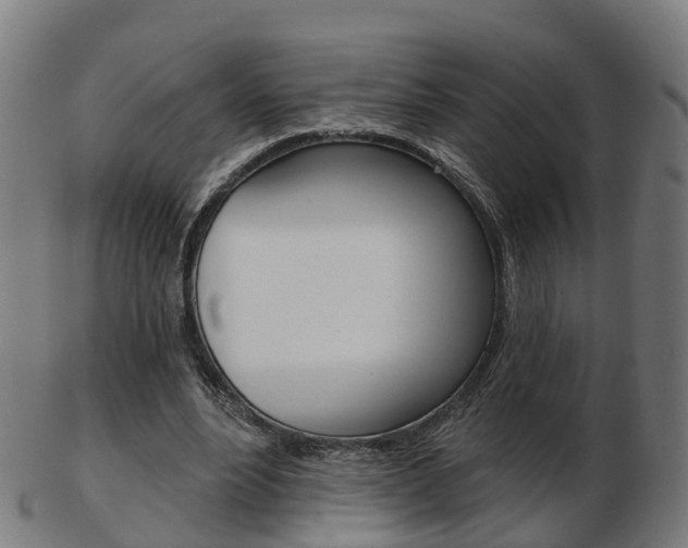 X0000103490488200809120953