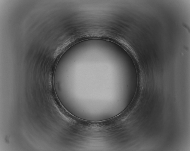 X0000103490489200809120953