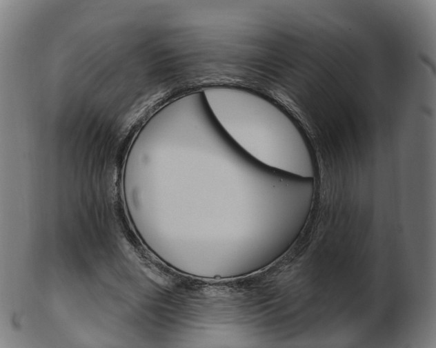 X0000103490490200809120953