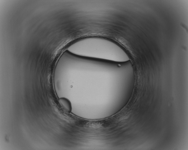 X0000103490491200809120953