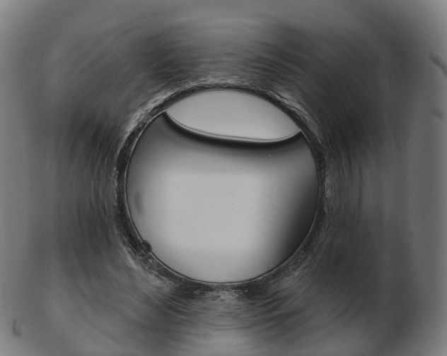 X0000103490492200809120953