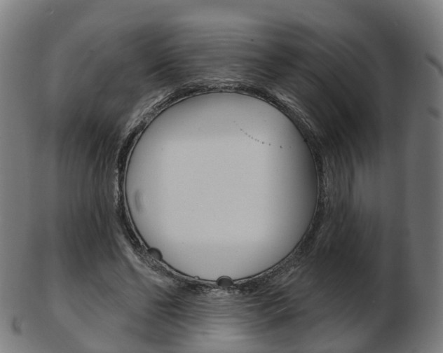 X0000103490494200809120953