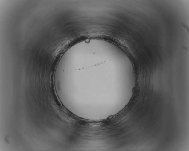 X0000103490495200809120953