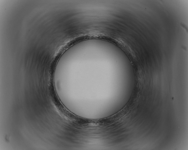 X0000103490496200809120953