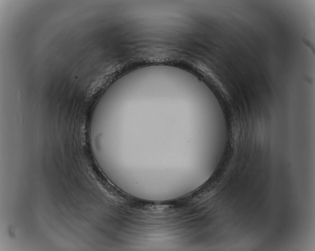 X0000103490497200809120953