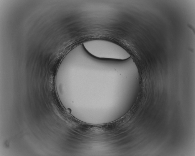 X0000103490498200809120953