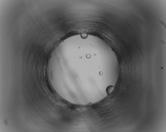 X0000103490499200809120953