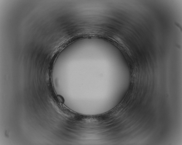 X0000103490500200809120953