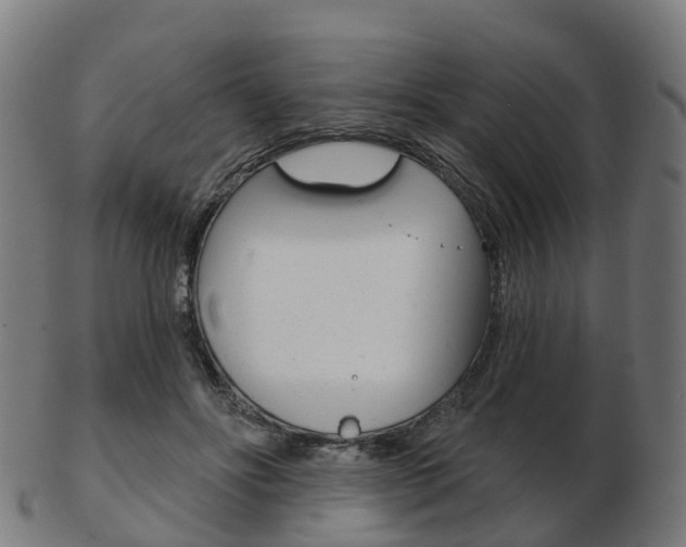 X0000103490502200809120953