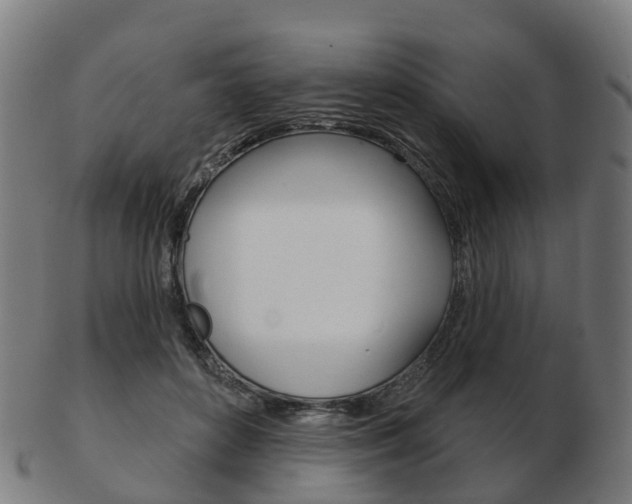 X0000103490504200809120953