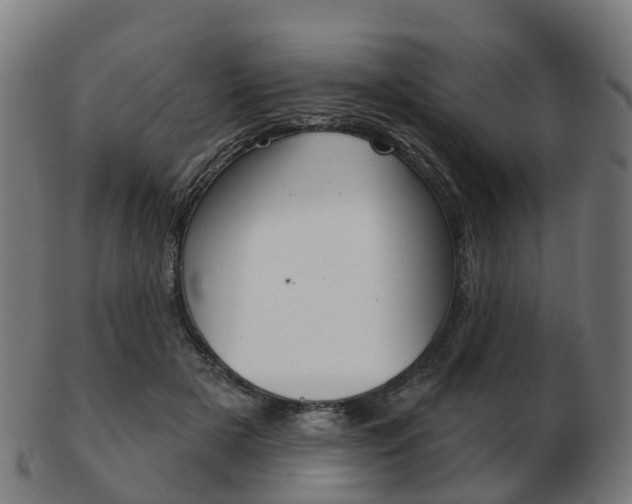 X0000103490505200809120953