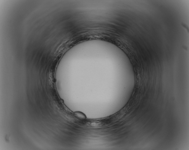 X0000103490506200809120953