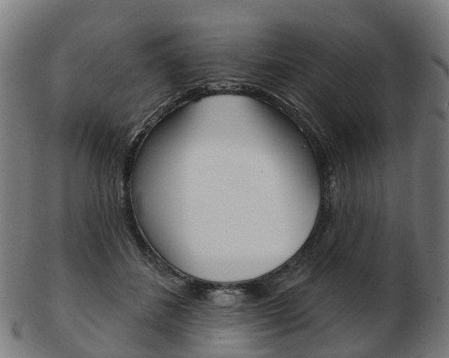 X0000103490508200809120953