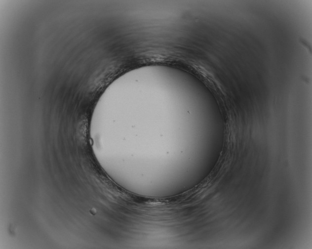 X0000103490509200809120953
