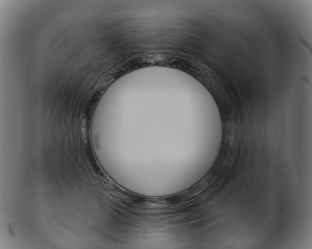 X0000103490510200809120953