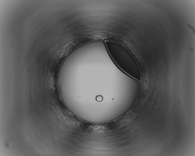 X0000103490512200809120953