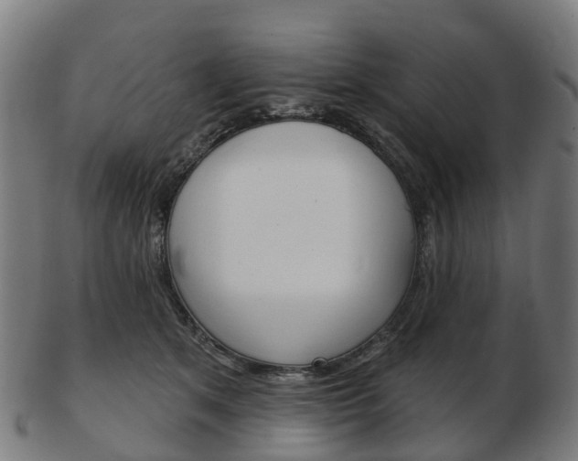 X0000103490513200809120953
