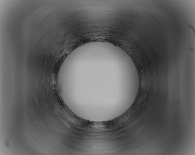 X0000103490518200809120953