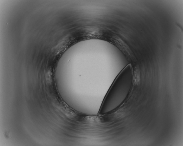 X0000103490520200809120953