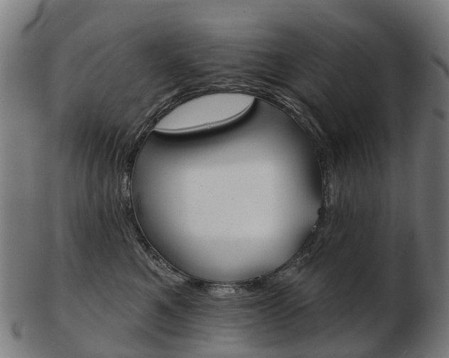X0000103490521200809120953