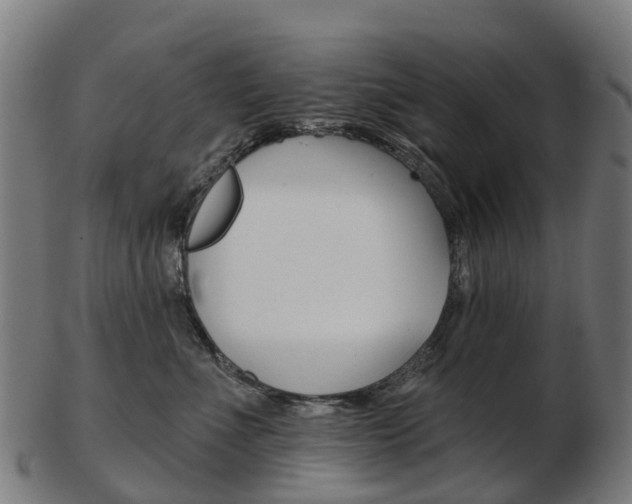 X0000103490523200809120953