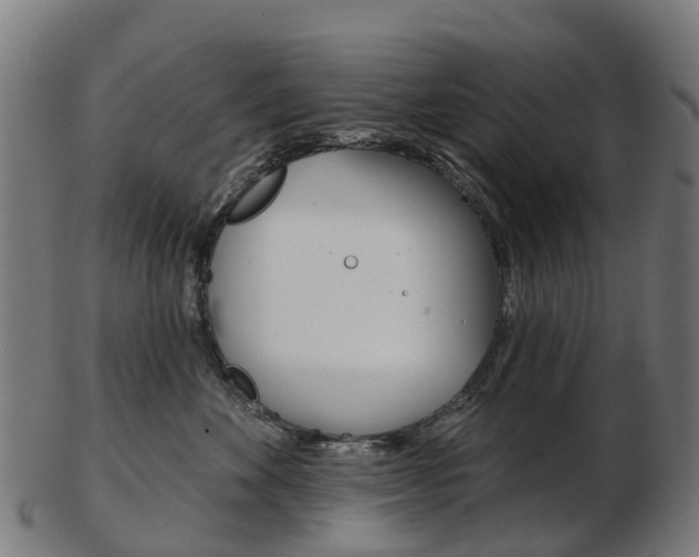 X0000103490524200809120953
