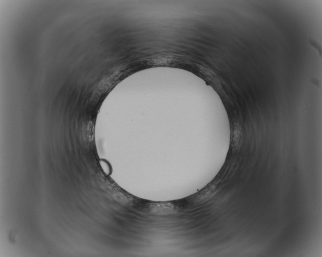 X0000103490525200809120953